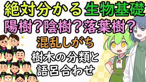 陽樹 陰樹|陰樹と陽樹の違いと代表的な樹木 